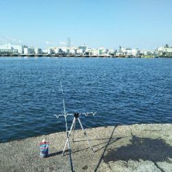 サバ釣れます。