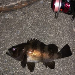 ランガンメバリング