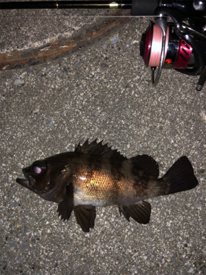 ランガンメバリング