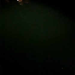 ナイトアジング