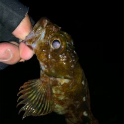 ん？ジャンプ⁇