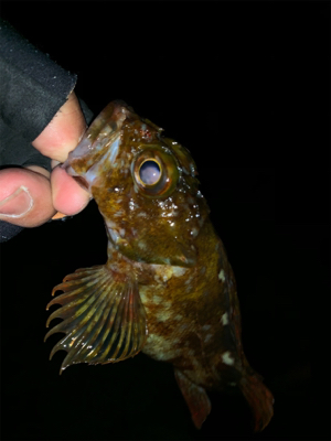 ん？ジャンプ⁇