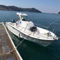 スロージギンク