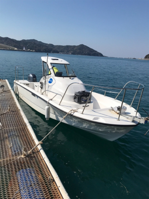 スロージギンク