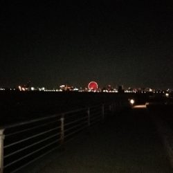 約1年ぶりの釣果