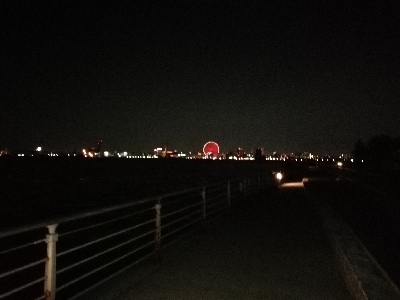 約1年ぶりの釣果