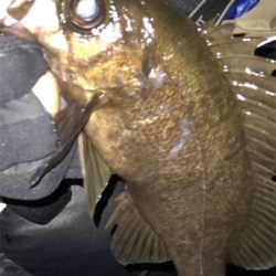 メバリング ⁉️