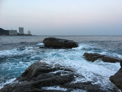 南紀エギング遠征