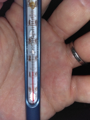 【須磨海岸】メバル祭り！陸っぱりメバリングで良型撮れます！