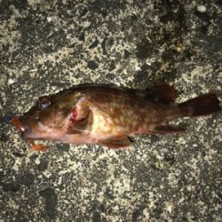 潮が動かなきゃどないもなりません