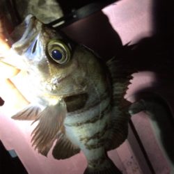 泉南サーフゲーム