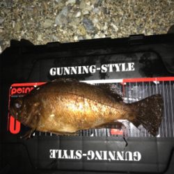 フロートメバリング