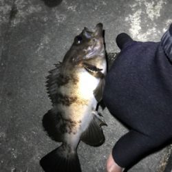 子供が寝てからのお楽しみ♪