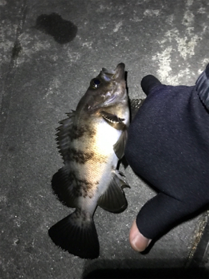 子供が寝てからのお楽しみ♪