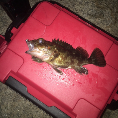 ナイトメバリング☆GUNNING-STYLE