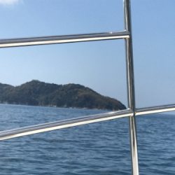 今年初ジギング