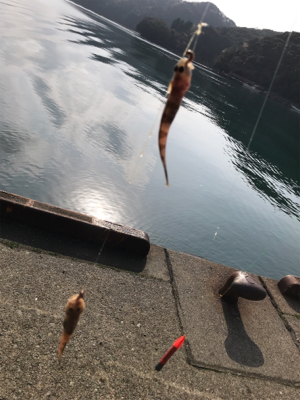 キスの投げ釣り