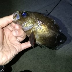 短時間メバリング