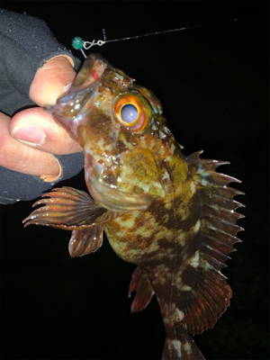 ショートバイト？