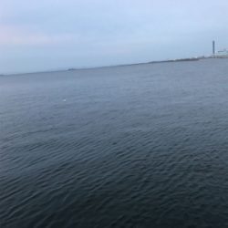 サバ釣れてますよ！