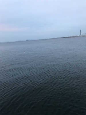 サバ釣れてますよ！