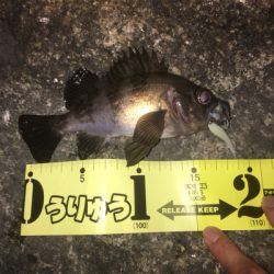 サーフメバリング☆GUNNING-STYLEメンバー