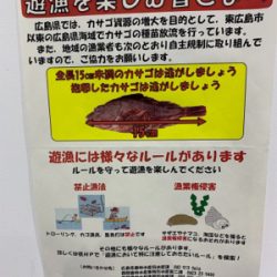 初乗船にてメバル釣り