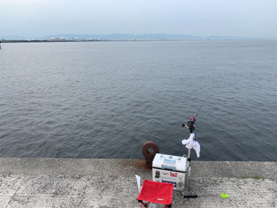 大阪南港での エビ撒き釣果！