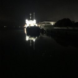 渋いメバリングσ(^_^;)