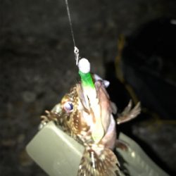 月曜から夜更かし