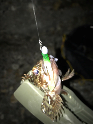 月曜から夜更かし