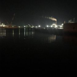 チビガシラに遊んでもらう(^^)