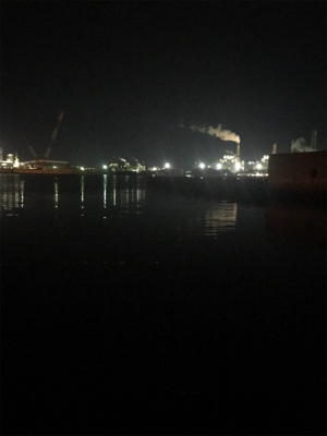 チビガシラに遊んでもらう(^^)