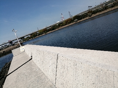 お昼はボラ〜夜はバチ抜け