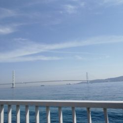 久しぶりのデイゲーム♪