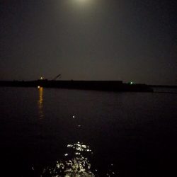 ヒラメ釣り！！