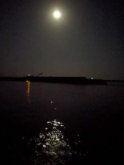 ヒラメ釣り！！