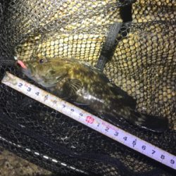 ミニガシラ祭り(^｡^)