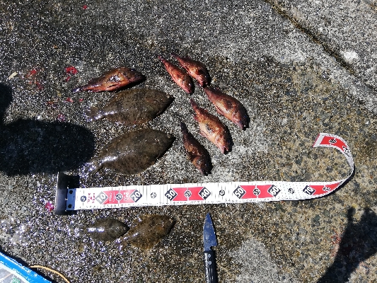 最高の釣行（投釣り、穴釣り）