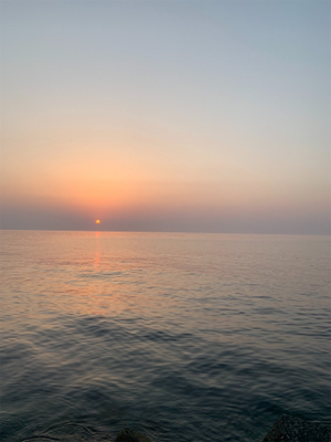 アオリイカ釣果!