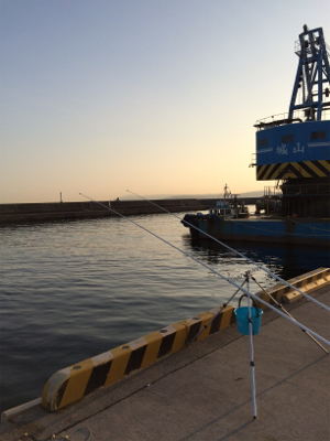 本命のカレイ釣れました