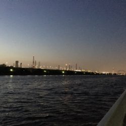 バチシーバスシーズンイン