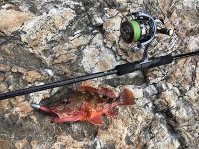 再びロックショア