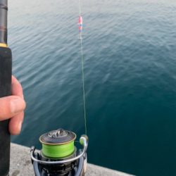 活気がでてきました。