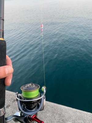 活気がでてきました。