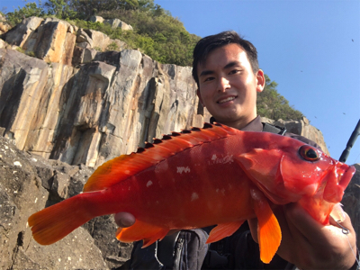 弁天ライトロックフィッシュゲーム