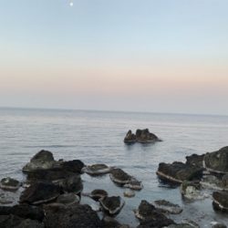 越前海岸フカセ釣り グレ