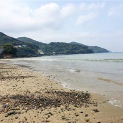 キスシーズン到来!!