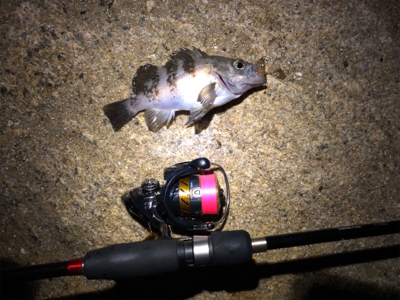 雨の力を借りて