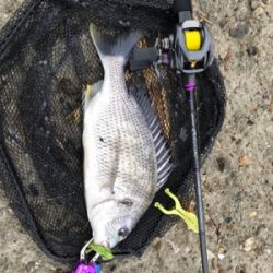 これが噂の春爆（チニング編）